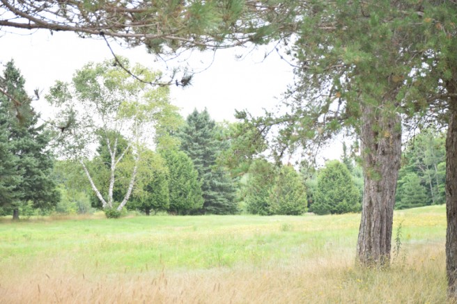 Photo : Félix Larose-Tarabulsy; L’ancien terrain de golf de Prévost. Plusieurs citoyens ont suggéré la réappropriation du terrain de golf afin de permettre une utilisation qui bénéficierait à toute la communauté.