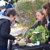 Des élèves de l’école des Falaises, où en 2015, un projet de potager a vu le jour. Crédit : Michel Fortier