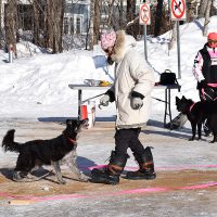 Une activité de Wouf Laurentides : le propriétaire marche à reculons dans un zigzag alors que son chien le suit, photo : Carole Bouchard