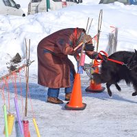 Les obstacles pour le chien et… pour son propriétaire! photo : Michel Fortier