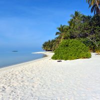 Île de Mathiveri,  Ari Atoll Nord. – Photo Diane Brault