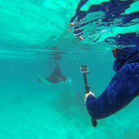 Raie Manta et Diane Brault, Atoll Ari Nord. – Photo Jean-Guy Joubert