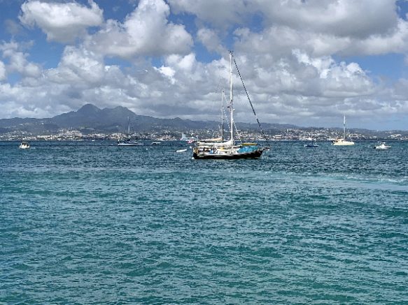 Voiliers Martinique - journal des citoyens