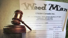 Weedman contre la municipalité - journal des citoyens