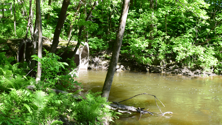 Environnement rivière - journal des citoyens