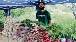 Jardin de maxime - Journal des citoyens